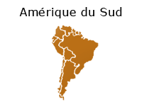 Bilan Amérique du Sud