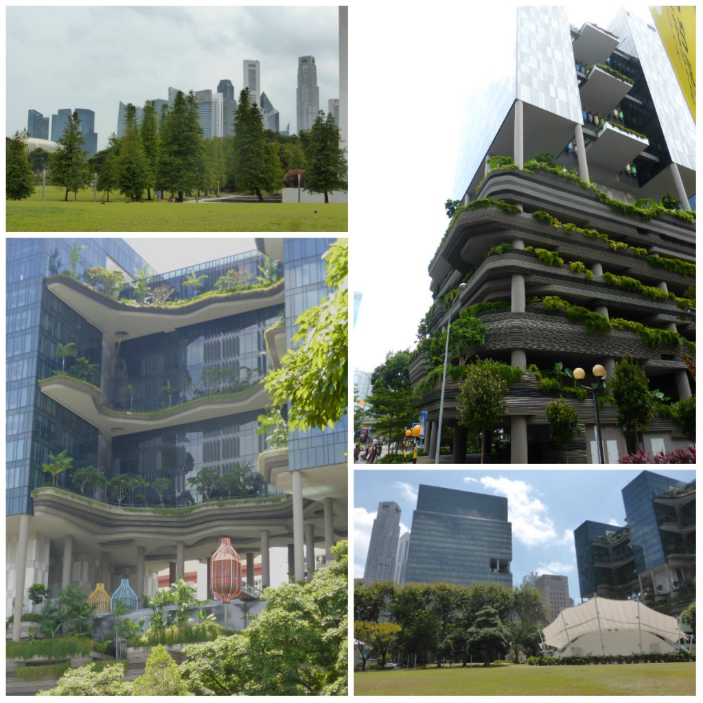 immeubles verts